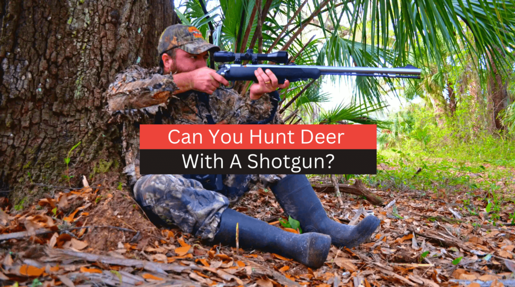 Can You Hunt Deer With A Shotgun? (2023 Full Guide)