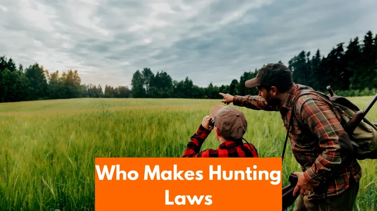 What group sets hunting regulations in most states?
