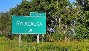 Sylacauga Busted: Arrests, Jail Info & Mugshot Access Guide 19 Sylacauga Busted