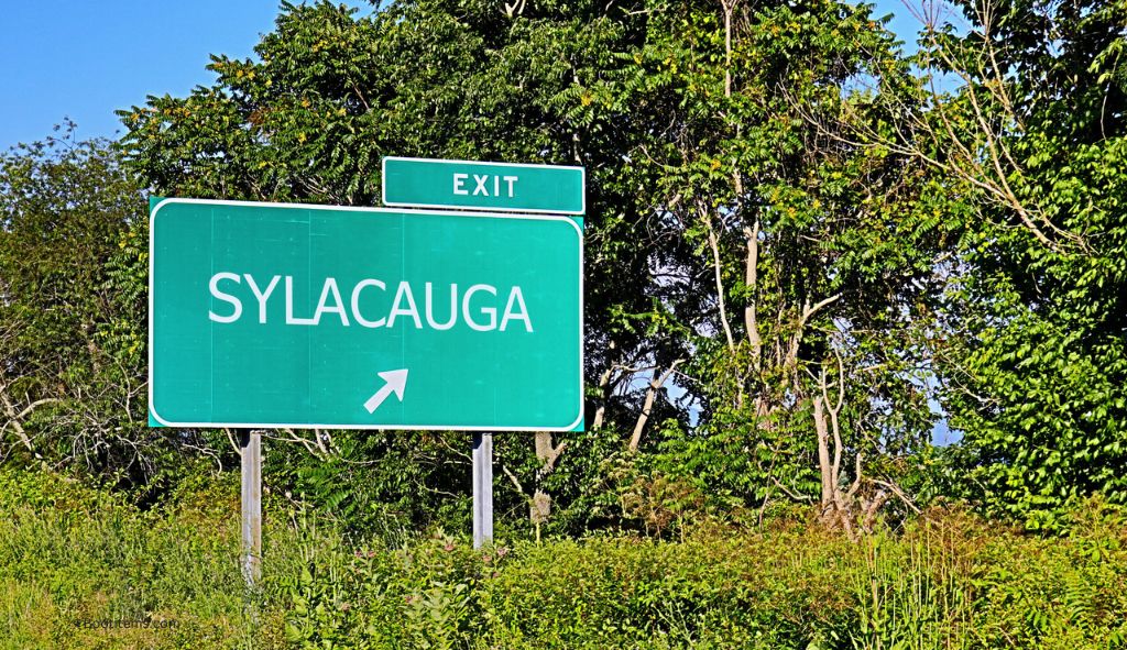 Sylacauga Busted